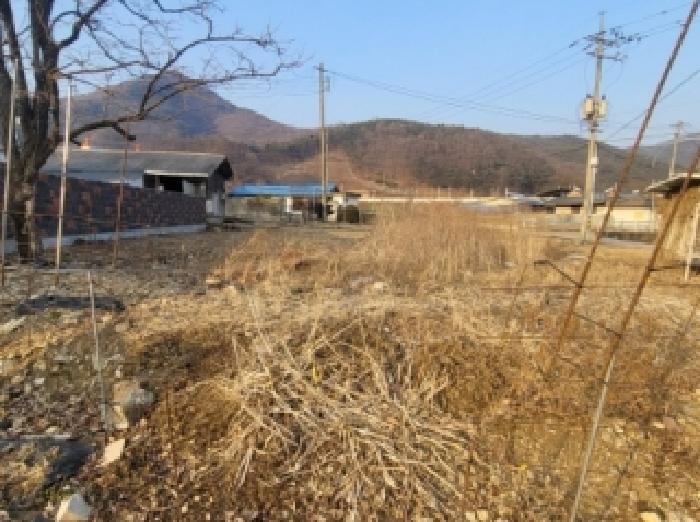 2026타경50128 법원경매 사진7 | 충북 괴산군 대지 경매