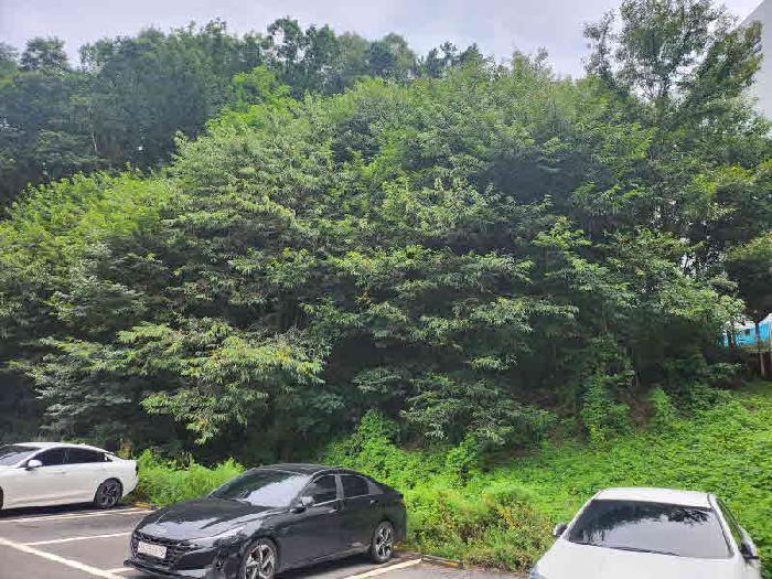 법원경매 2025타경57052 사진9 | 용인시 처인구 남사읍 방아리 1006-1 임야 경매