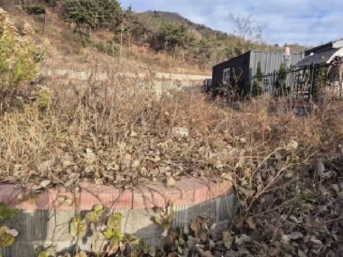 법원경매 2025타경7586 사진4 | 화순군 도곡면 천암리 임야 경매