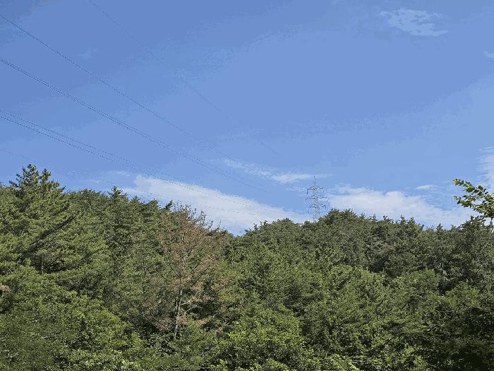 2025타경1205 법원경매 사진2 | 울산 중구 목장용지 경매