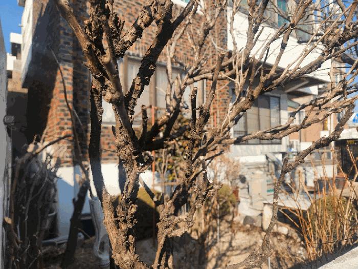 2026타경91 법원경매 사진9 | 대전 서구 주택건물 경매