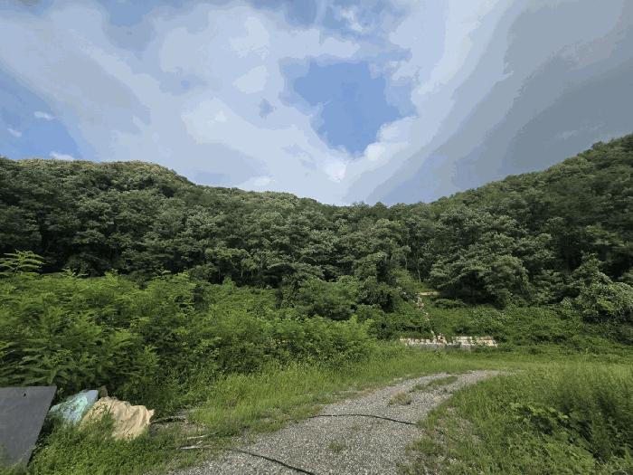 2025타경12115 법원경매 사진2 | 울산 북구 임야 경매