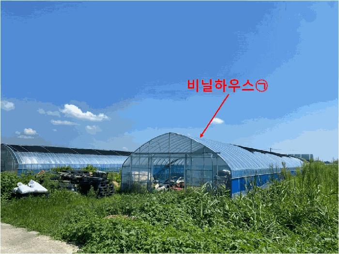 2025타경1424 법원경매 사진7 | 인천 강화군 답 경매