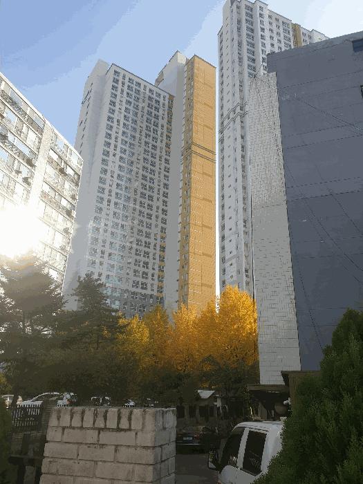 법원경매 2025타경513925 사진4 | 인천 미추홀구 주안동 77-3 주안지웰에스테이트 오피스텔 경매