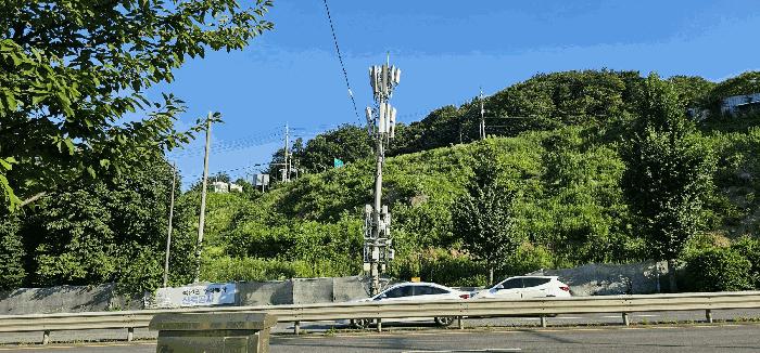 법원경매 2025타경71876 사진13 | 남양주시 화도읍 묵현리 388-53 임야 경매