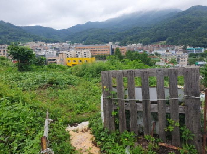 법원경매 2025타경71876 사진17 | 남양주시 화도읍 묵현리 388-53 임야 경매