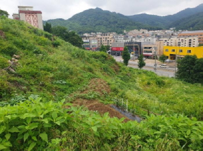 법원경매 2025타경71876 사진19 | 남양주시 화도읍 묵현리 388-53 임야 경매
