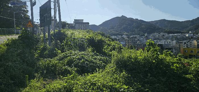법원경매 2025타경71876 사진3 | 남양주시 화도읍 묵현리 388-53 임야 경매