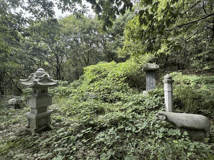 법원경매 2025타경64006 사진2 | 고양시 덕양구 덕은동 387-4 임야 경매