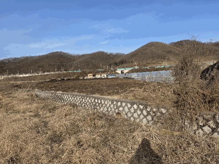 법원경매 2025타경64579 사진3 | 파주시 적성면 장현리 389-4 전 경매