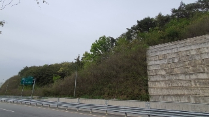 경남 창원시 마산합포구 구산면 반동리 산11-1 임야 사진 3