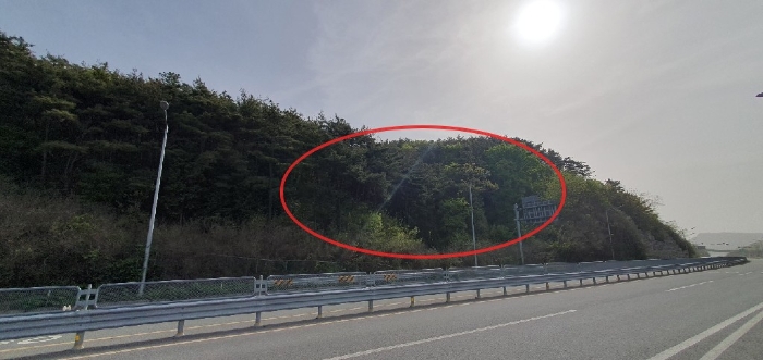 경남 창원시 마산합포구 구산면 반동리 산11-1 임야 사진 4