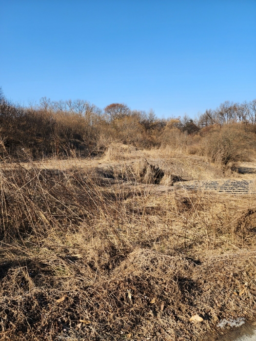충북 충주시 동량면 대전리 1317-6 전 사진 4