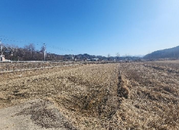 충북 영동군 용산면 미전리 345-4 답 경매 물건 사진