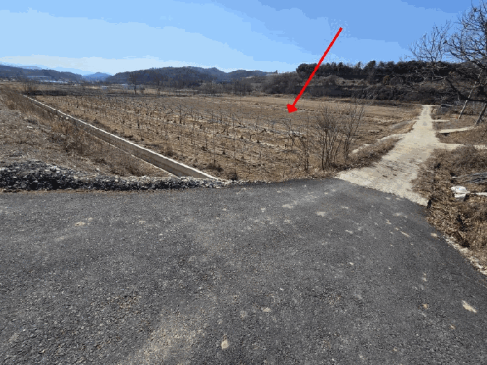 충북 영동군 용산면 미전리 345-4 답 사진 3