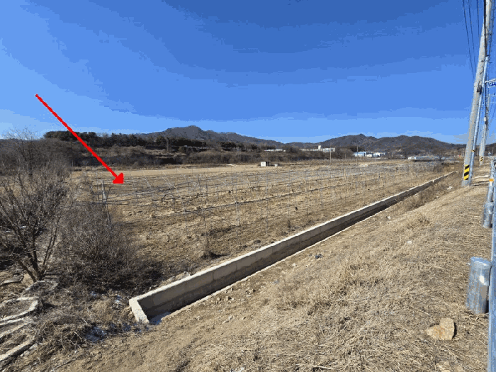 충북 영동군 용산면 미전리 345-4 답 사진 4