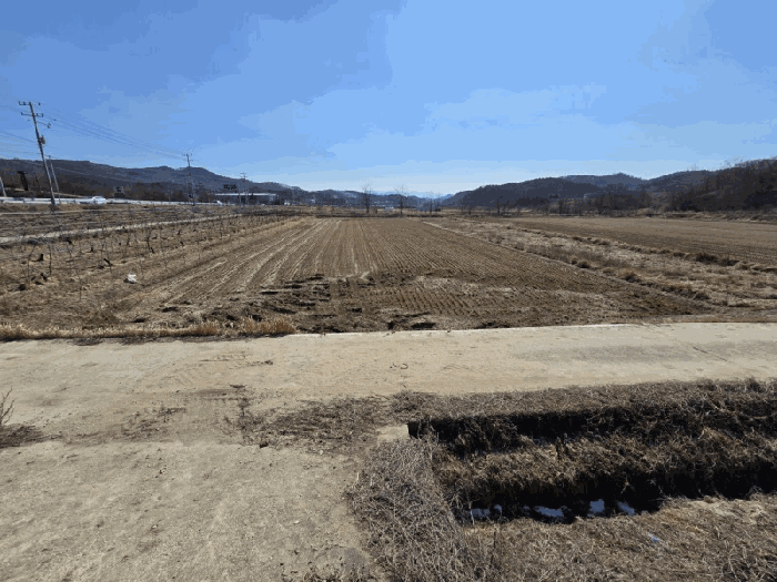 충북 영동군 용산면 미전리 345-4 답 사진 5