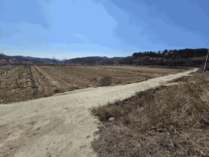 충북 영동군 용산면 미전리 345-4 답 사진 6