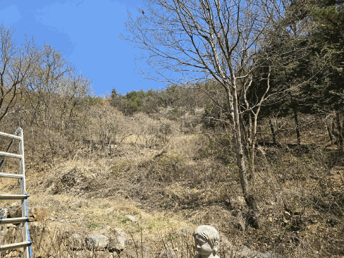 울산 울주군 온양읍 내광리 491 답 사진 4