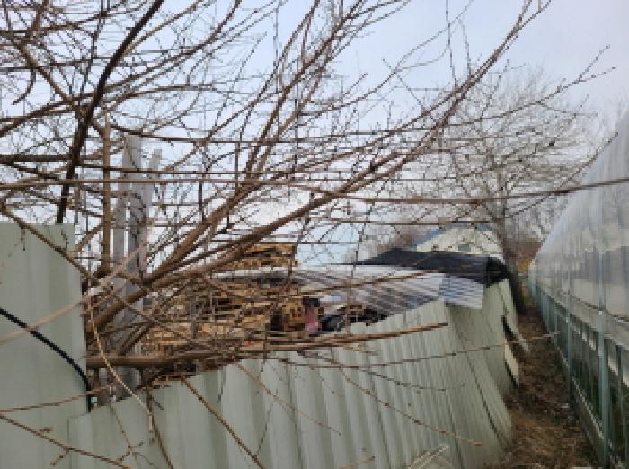 경기 하남시 감일동 217-2 외 2필지 근린생활시설 사진 5