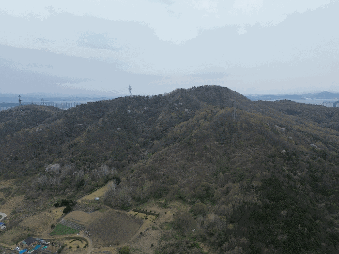 전남 무안군 삼향읍 용포리 산43-2 임야 경매 물건 사진