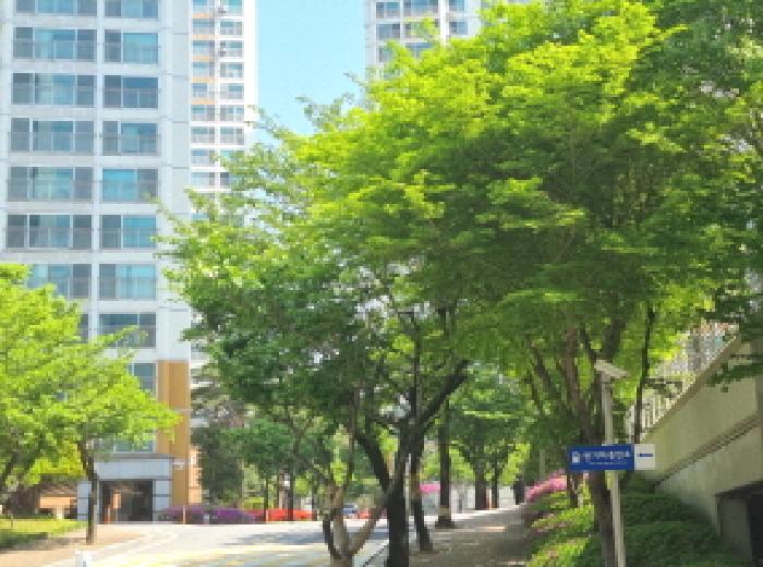 대전 유성구 하기동 513 송림마을아파트3단지 306동 아파트 사진 2