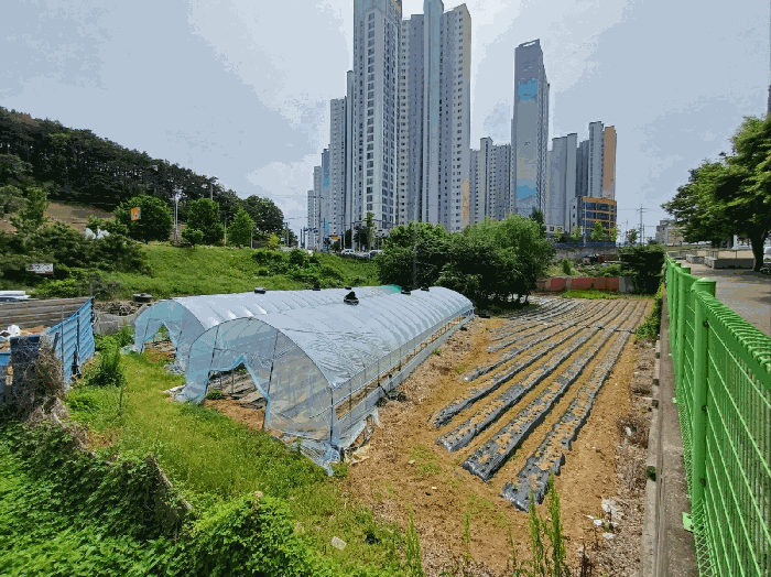 대구 달성군 다사읍 매곡리 693-2 유지 사진 4