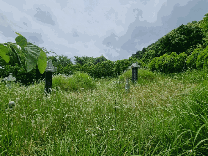 전남 함평군 나산면 월봉리 457 전 사진 3