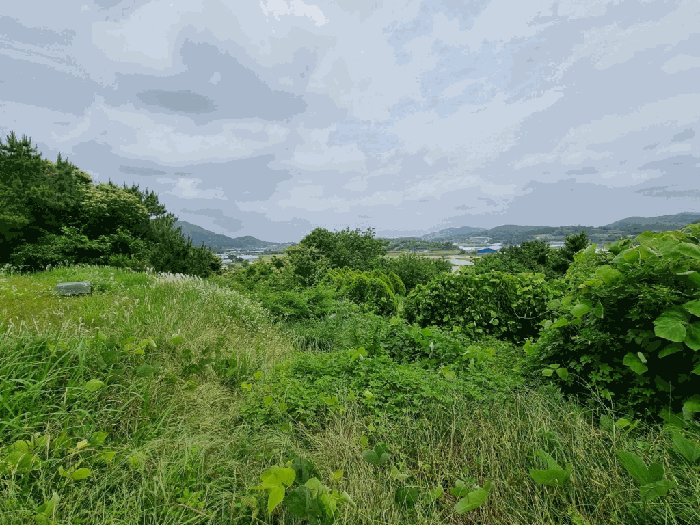 전남 함평군 나산면 월봉리 457 전 사진 5
