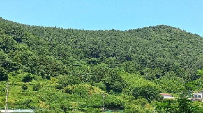 경남 거제시 일운면 옥림리 산96-10 외 4필지 임야 사진 5