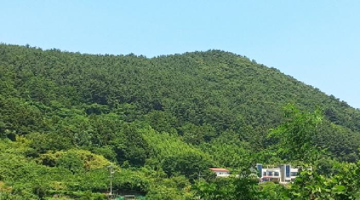 경남 거제시 일운면 옥림리 산96-10 외 4필지 임야 사진 6