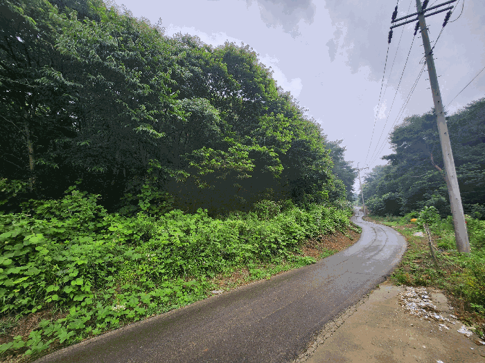 충남 보령시 천북면 장은리 산70-7 임야 사진 5