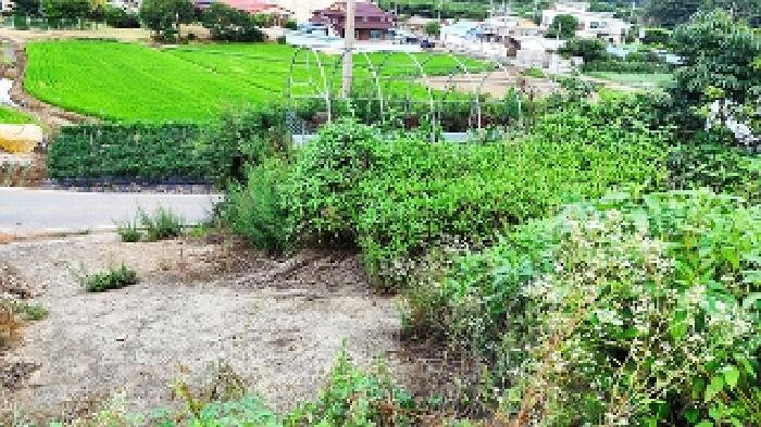 충남 서천군 서천읍 화금리 602-1 외 5필지 상가주택 경매 물건 사진