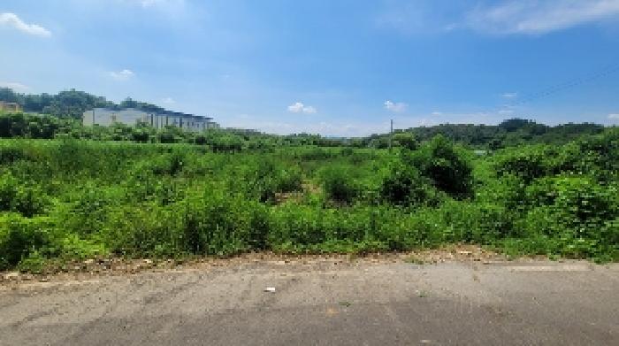 경남 함안군 칠서면 용성리 391-1 전 사진 2
