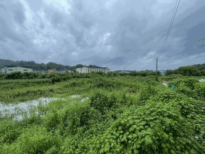 경남 함안군 칠서면 용성리 391-1 전 사진 3