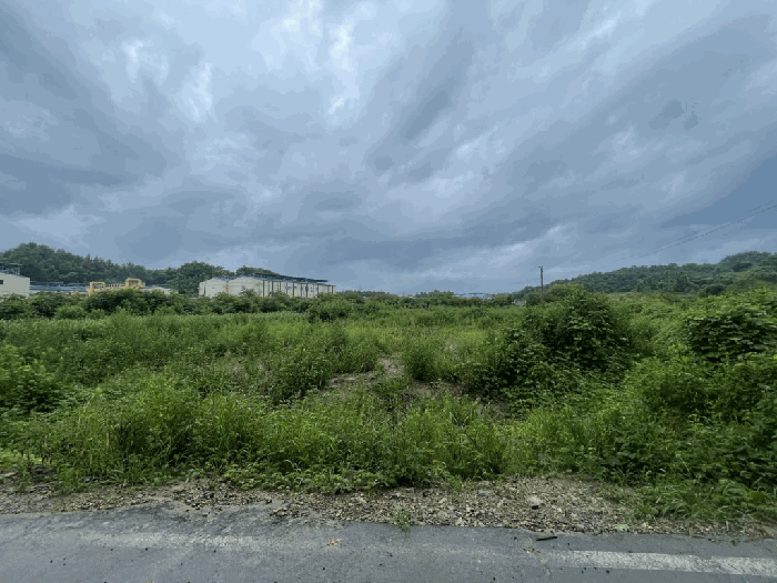 경남 함안군 칠서면 용성리 391-1 전 사진 4