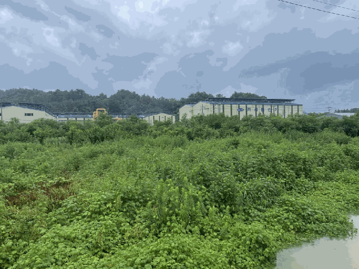 경남 함안군 칠서면 용성리 391-1 전 사진 6