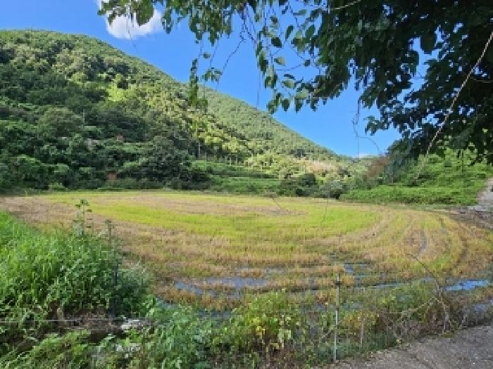 경남 하동군 청암면 명호리 625 외 1필지 답 경매 물건 사진