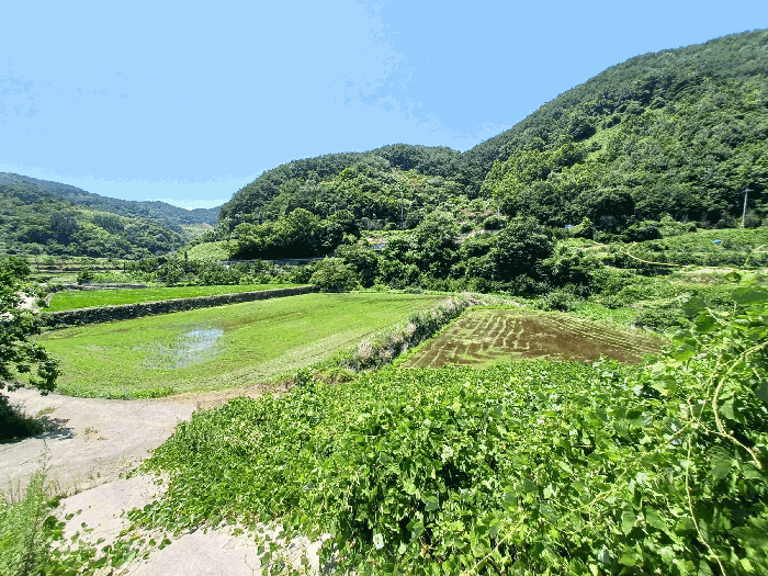 경남 하동군 청암면 명호리 625 외 1필지 답 사진 3