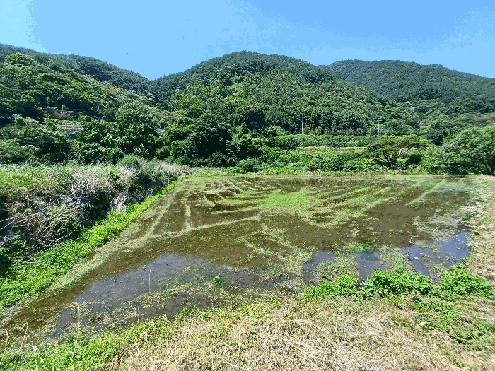 경남 하동군 청암면 명호리 625 외 1필지 답 사진 6