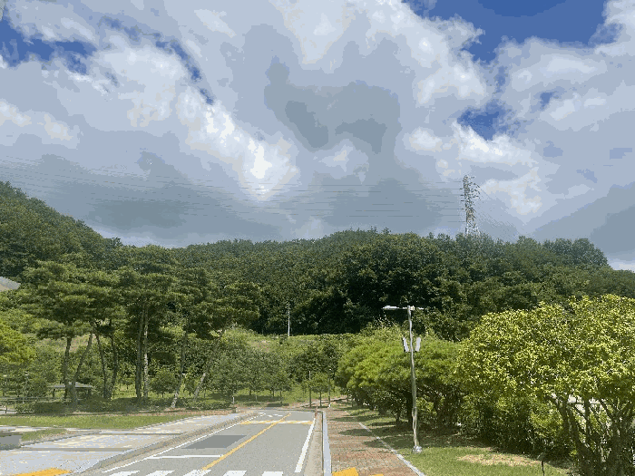 전남 무안군 삼향읍 남악리 288-10 임야 사진 2