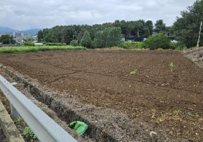 충북 충주시 주덕읍 신양리 380 전 경매 물건 사진