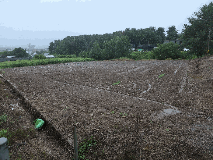 충북 충주시 주덕읍 신양리 380 전 사진 2