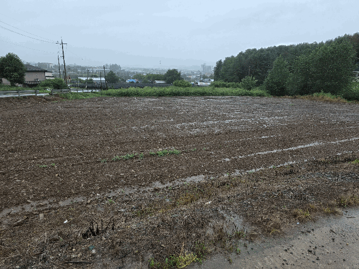 충북 충주시 주덕읍 신양리 380 전 사진 4