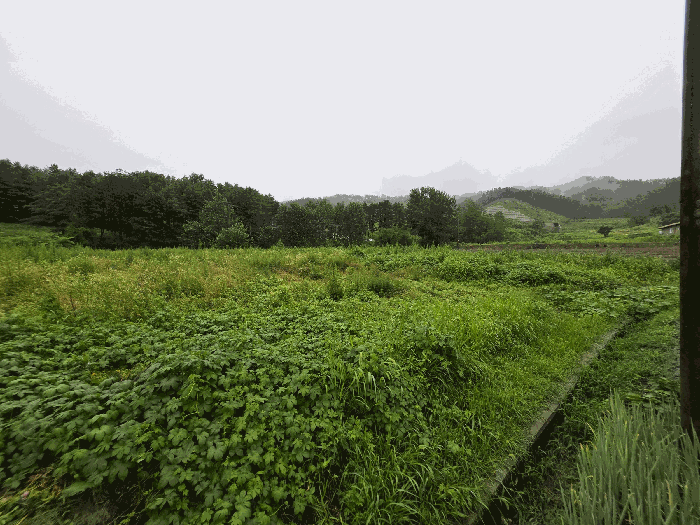 충북 충주시 주덕읍 신양리 380 전 사진 6