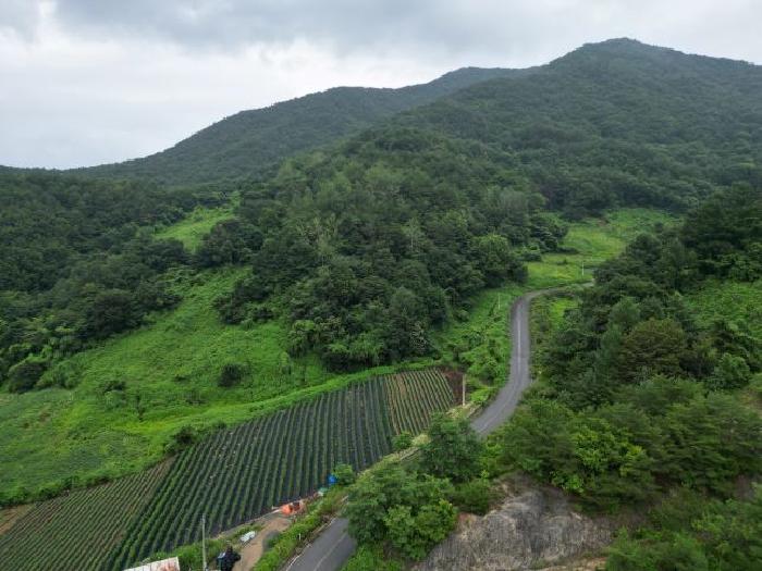 충북 제천시 덕산면 도기리 산54 임야 경매 물건 사진