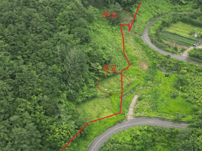 충북 제천시 덕산면 도기리 산54 임야 사진 3