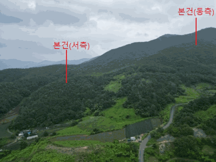 충북 제천시 덕산면 도기리 산54 임야 사진 5