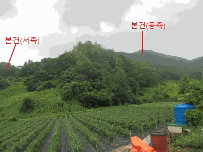 충북 제천시 덕산면 도기리 산54 임야 사진 6