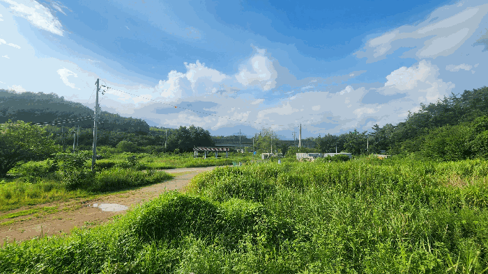 전남 순천시 대대동 1400 전 사진 6